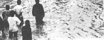 flood2.jpg