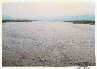 cca100051-HM-pt302_000942-0001-t.gif