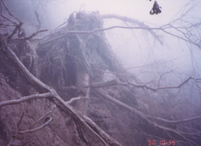 雲仙災難01.jpg