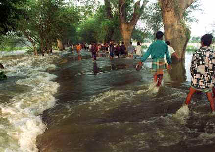floodsb.jpg