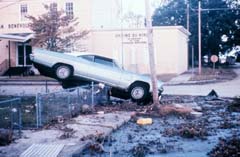 camille-car3.jpg