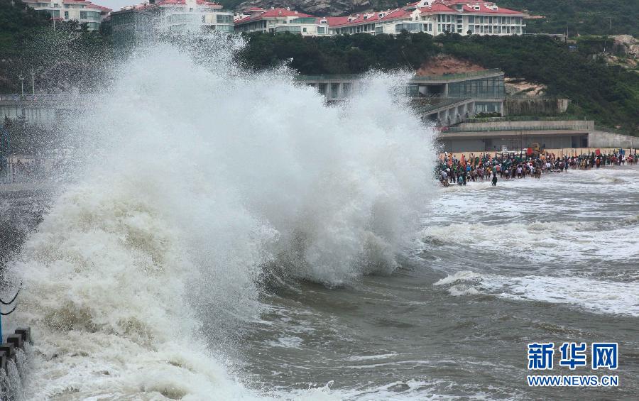 b3f54cc333.jpg