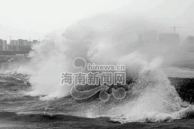 U1397P1T1D7864372F21DT20050926120621.jpg