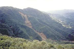 010901f5.jpg