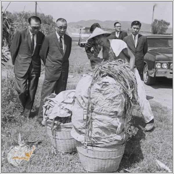 5e.jpg
