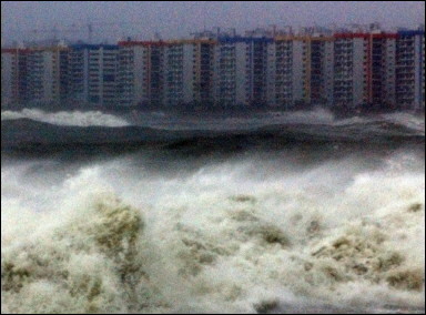 露莎.jpg