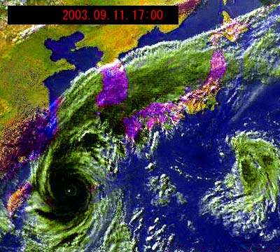 03091117.jpg