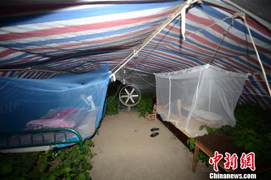 Img350188515.jpg