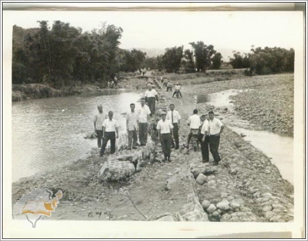 6a.jpg