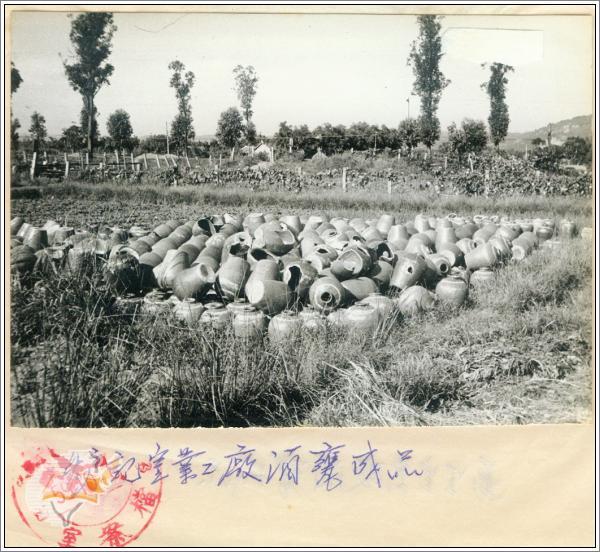 85.jpg