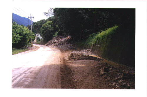 04 copy.jpg