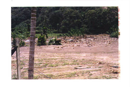 05 copy.jpg