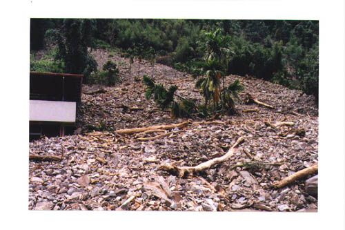 07 copy.jpg