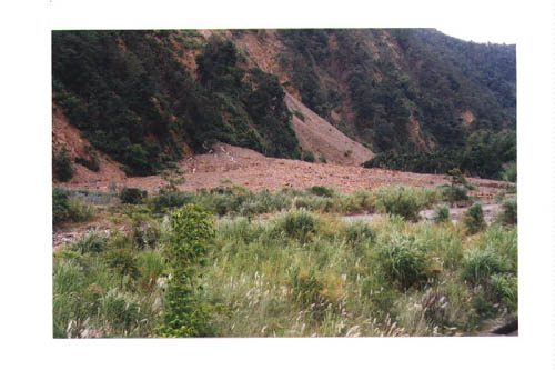 06 copy.jpg