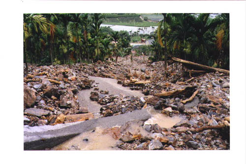 09 copy.jpg