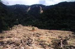 clip_image007.jpg