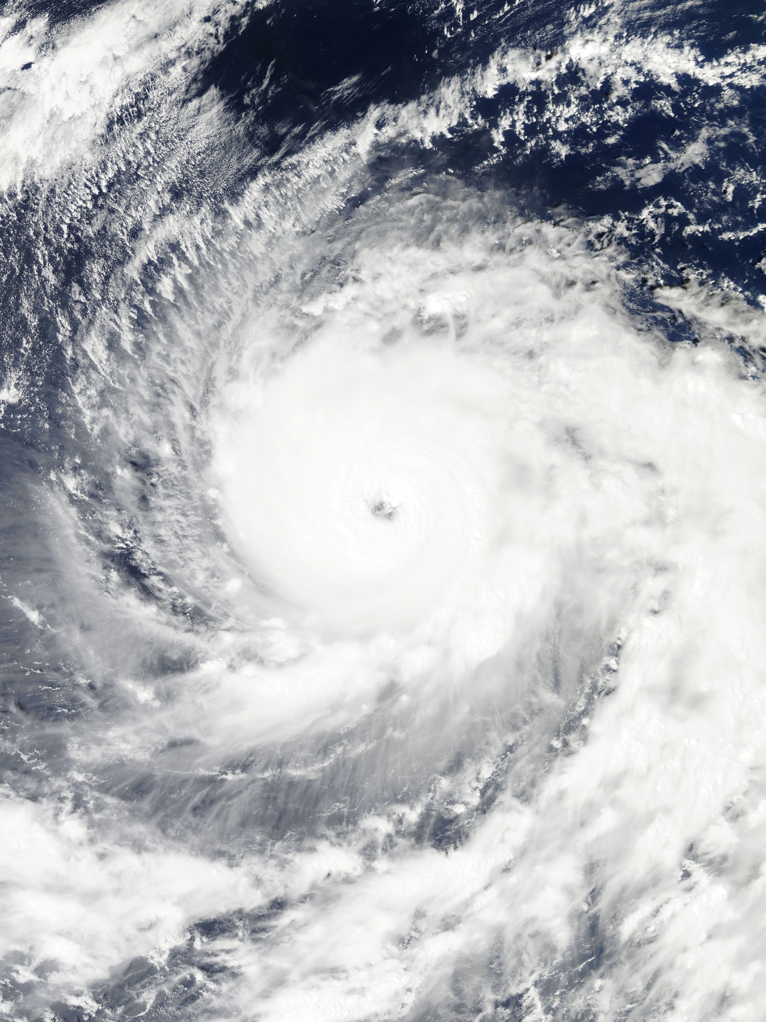 Vongfong 2014-10-07 0435Z.jpg