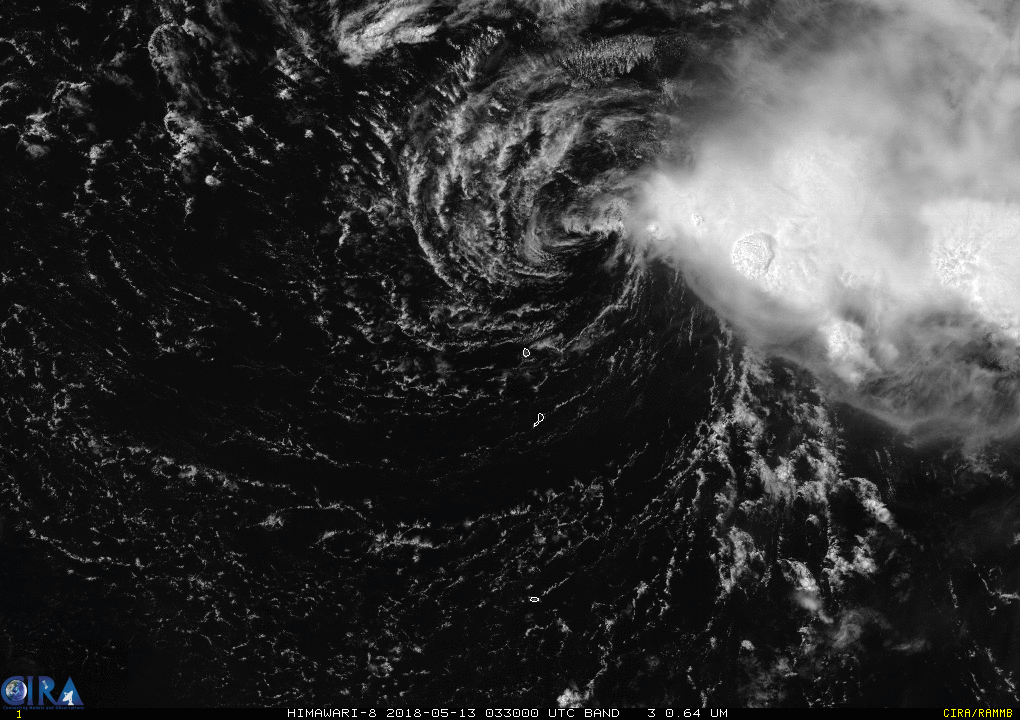 himawari-8_band_03_sector_03.gif