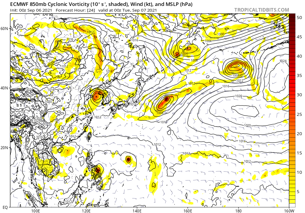 ecmwf_uv850_vort_wpac_2.png