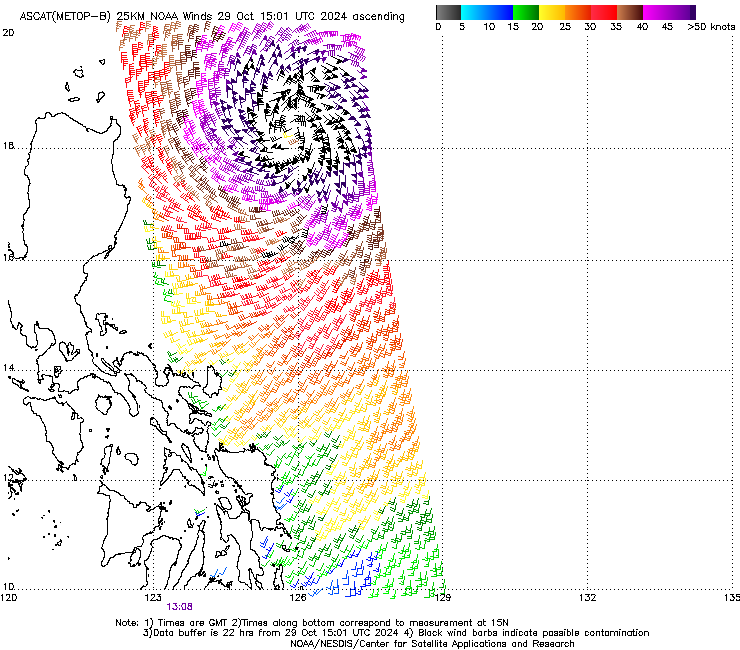 WMBas244 (1).png