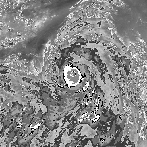 GMS500082113.200010 (1).jpg