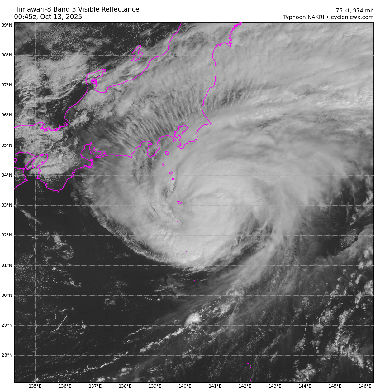 himawari8_29W_vis_202510130045.png
