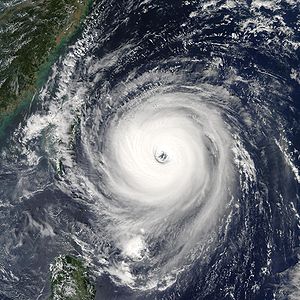 300px-Typhoon_Longwang_2005.jpg