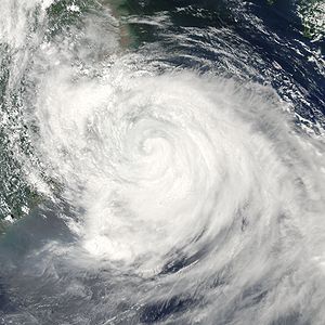 300px-Typhoon_Matsa_2005.jpg