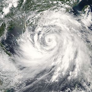 300px-Typhoon_prapiroon_2006.jpg