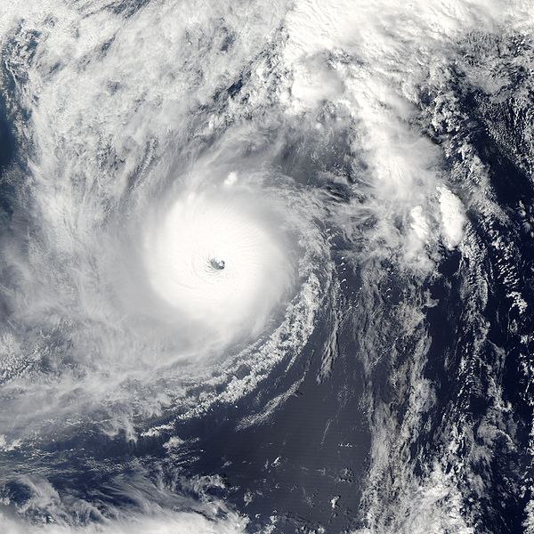 600px-Super_Typhoon_Ma-on_2004.jpg