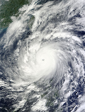 300px-Super_Typhoon_Megi_Oct_18_2010.jpg