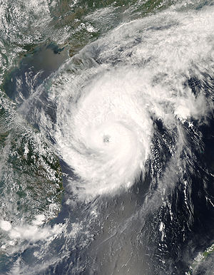 300px-Neoguri_17_apr_2008_0550Z.jpg